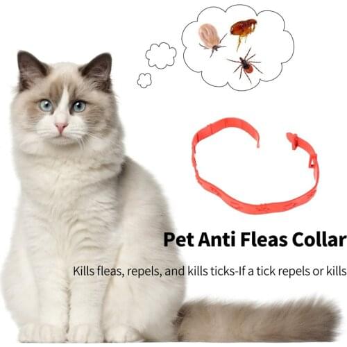 Cortex Pets Anti Fleas Collar Safe Non-Toxic Waterproof Lightweight Adjustable Size Cats Collar Fleas Ticks Remover Pets Collar