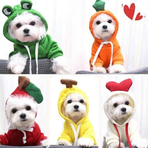 Fashion Dog Winter Warm Clothes Hoodie Dog Cat Funny Dinosaur Costume Pet Cat Coats Jacket Hoodies For Cats Outfit Warm Pet Coat