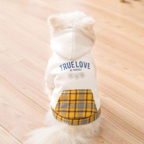 Dog Hoodie New Autumn and Winter Dog Hooded Small Daisy Sweater Small and Medium-sized Dog Cat Two-legged Hooded Pet Clothes