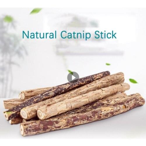 Brand New Cat Molar Toothpaste Stick Natural Catnip Matatabi Didactic Fruit Silver Vine Wood Polygonum Pet Snack Cleaning Teeth