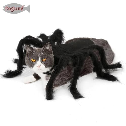 Cat Costume Halloween Spider Pet Costumes Pet Apparel for Small Cats and Dogs