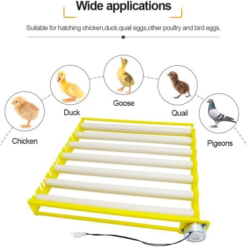 Good Quality Incubator Accessories roller egg tray Hot Selling With Motor Automatic Egg For Sales