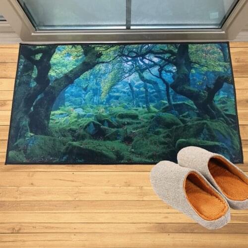 Fairyland Wonderland Doormat Entrance Welcome Mat Hallway Doorway Bathroom Bedroom Kitchen Rugs Floor Mats Carpet Gift 50x89cm