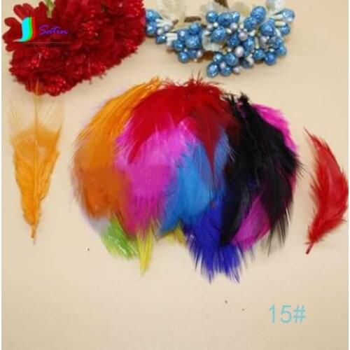 DIY Accessories Handmade Accessories Color Feather Brooch Hair Feathers Dreamcatcher Following The Feather 100 Root S013M