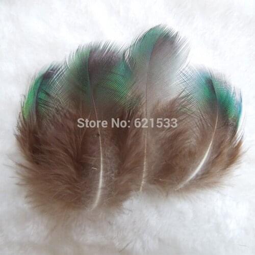 Natural Dark Blue and Green Peacock Plumage Feathers,200pcs/lot,5-9cm long,Cheap Peacock feathers