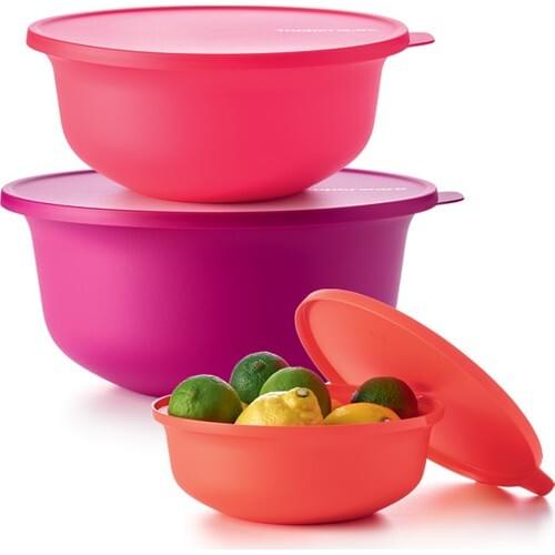 Tupperware Aloha Service and Storage Set