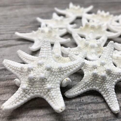 Natural Mediterranean Sea Stars Cute Mini Starfish Decoration Diy Craft Beach Cottage Kids Bedroom Living Room Decor Ornaments
