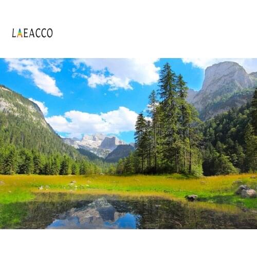 Laeacco Cloudy Blue Sky Mountains Forest Swamp Scenic Photography Backgrounds Vinyl Custom Camera Backdrops For Photo Studio