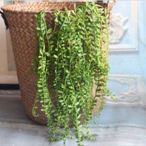 Artknock Rattan