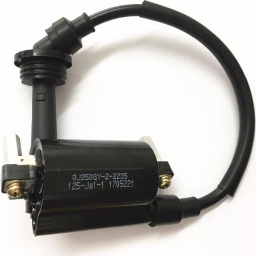 Ignition Coil for Benelli BN251 BN250 TNT25 TNT250 / BN TNT 25 250 251