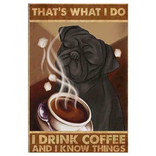 Metal Sign Pug Thats What I Do Tin Signs New Year Easter Wall Bar Pub Family Cafe Signs Men Cave Best Gifts for Friends