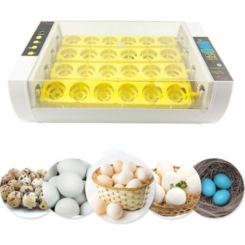 Товары для животных DCPET China At AliExpress