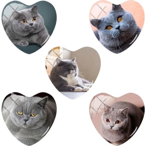 TAFREE Fashion 2020 Arrive Hot Animal Art Pattern PicBritish Shorthair Cat Heart Shape Jewelrys Making Glass Dome CA385