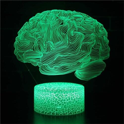 Newest 3D Acrylic Led Night Light Brain Organ Figure Nightlight for Kids Child Bedroom Sleep Lights Gifts for Home Decor
