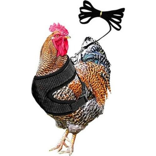 Lightweight Chicken Harness And Leash Pet Training Harness Adjustable Comfortable Duck And Chicken Breast Strap Traction Belt