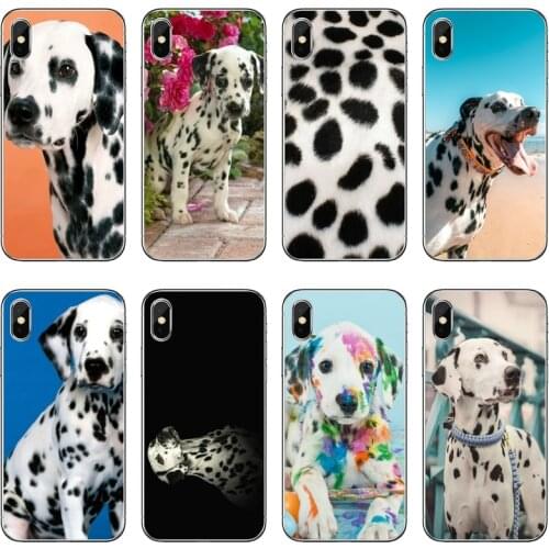 Soft Silicone Phone Case Dog Dalmatian For iPhone 11 Pro XS Max XR X 8 7 6 6S Plus 5 5S SE 4S 4 iPod Touch 5 6