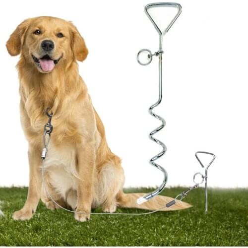 Dog Supplies Accessories Outdoor Stainless Iron Spiral Dog Rope Fixed Pile Ground Pile Wire Rope Supporting Ground Nail