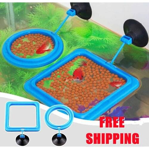 Aquarium Fish Portable Feeding Fish Accessories Feeder Station Floating Square Circle with Suction Cup Easy to feed Accessories