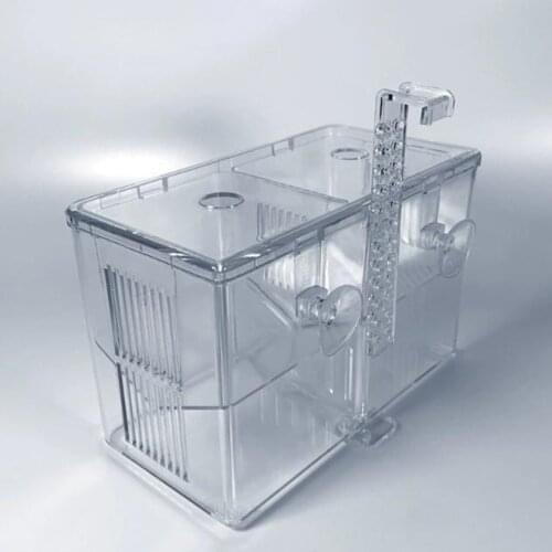 Fishes Tank on Breeder Aquarium Hatchery Fishes Breeding Isolation Box
