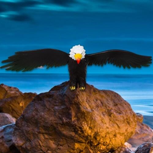 Bald Eagle Statue Little Fairy Wild Bird Garden Ornaments Living Room Figurines Yoga Yard Sculpture Office Farmhouse Home Decor