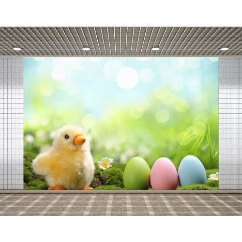 Lyavshi Easter Eggs Grassland Chick Baby Newborn Photography Backgrounds Photographic Backdrops For Photo Studio