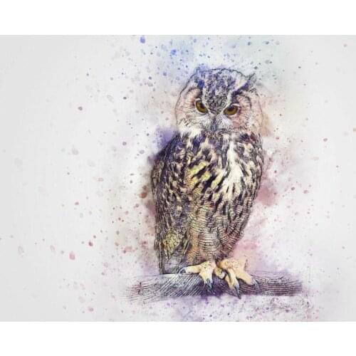 Bird Owl Abstract Art print Silk poster Home Wall Decor