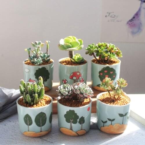 Ceramic Flowerpot Hand Painted Succulent Plant Pot Desktop Home Office DIY Decoration