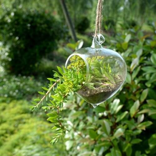 Diameter=12cm Big Size Onion Shaped Glass Terrarium Transparent Hydroponic Meat Fower Bottle Hanging Vase Home Decoration