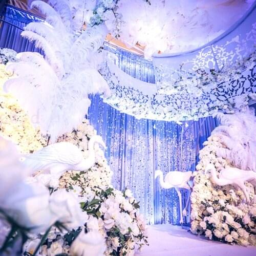 100ps/ lot elegant white ostrich feathers 15-75 cm craft wedding party supplies carnival dancers decorative feathers angel wings