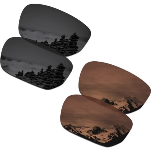 SmartVLT 2 Pairs Polarized Sunglasses Replacement Lenses for Oakley Style Switch Stealth Black and Amber Brown