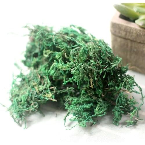 1 Pack Artificial Moss Lichen Simulation Fake Green Plants For Home Garden Patio Decoration Artificial Plant Moss 20g/50g/100g