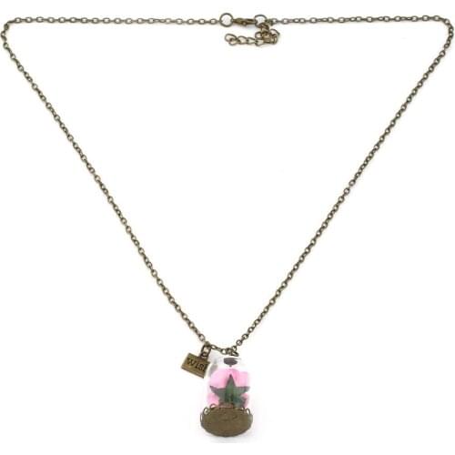 Women Terrarium Glass Bottle Necklace Romantic Dried Flowers Pendant Glass Bronze Long Chain Girls Lady