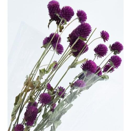 15pcs Purple natural flower bouquets dried gomphrena bouquets FREE SHIPPING