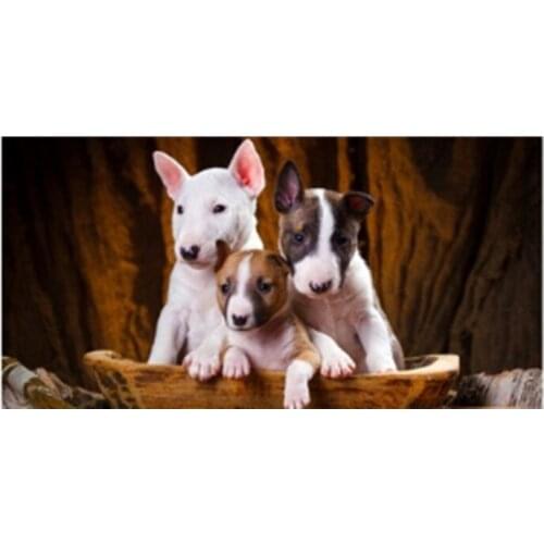 Cute Portait Miniature Bull Terrier Puppy Dog Bath Hand Towel Cool Bull Terrier Dogs Beach Sports Towels Gifts Micorfibre Soft