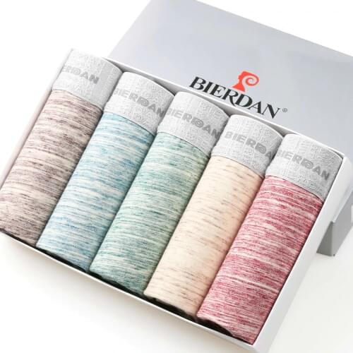 BIERDAN L-5XL Brand Pouch Boxer Shorts Mens Comfortable Mens Boxershorts Cotton Sexy 5pcs/lot Male Underwear Cueca 24TYPE JDN