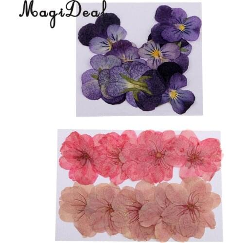 22pcs Natural Real Pressed Dried Sakura Flowers Cherry Blossom Violet Flowers for Jewelry Making