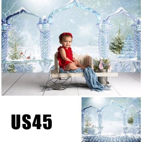 Background Of Magic Ice Gate To The Winter Forest Backdrops Photo Booth Backdrop Photography Studio Portrait Engraving Wallpaper