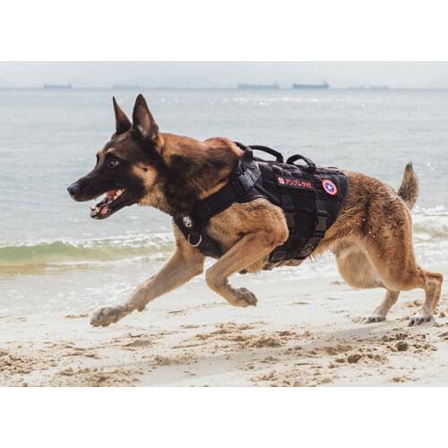 OneTigris X DESTROYER K9 Harness 3 Handled Heavy Duty Dog Vest With Metal Buckles MOLLE Training Harness for Service Dog