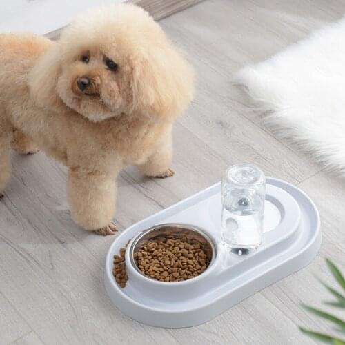 Pet food spillproof bowls dog and cat bowls food tray pet accessories automatic water drinker