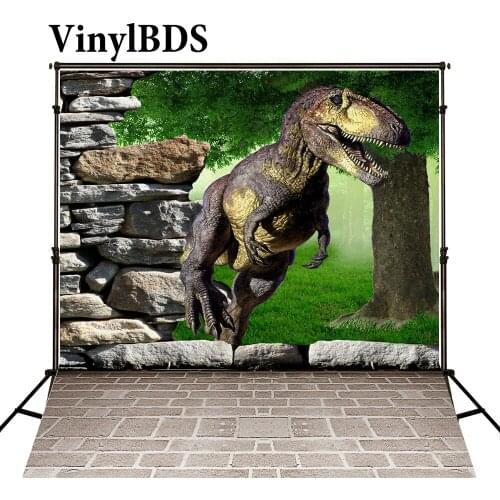 VinylBDS Dinosaur Party Children Backdrop Jurassic Park Party Backdrop 3D Baby Photography Background For Newborn Photo Studio