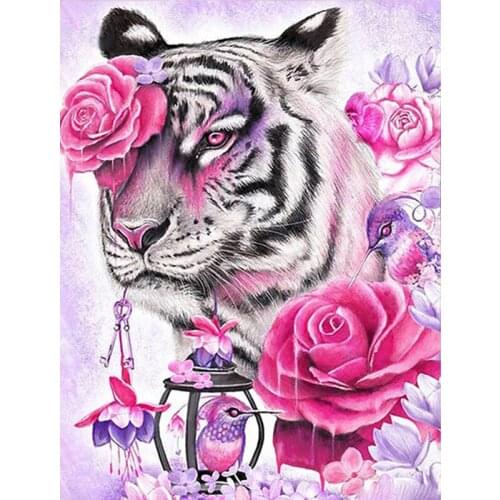 Rose White Tiger Animal 40x50CM Drawing Painting by Numbers Lage Size Picture on Wall Decoration Children Gift 40x50 50x65cm