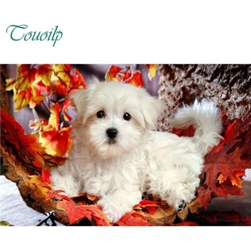 Diamond mosaic full square diamond embroidery"Chihuahua dog"diamond cross stitch,diy diamond painting stickers home decoration