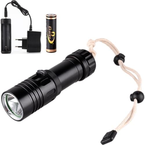 Led Diving flashlight XM-L U2 Mini Convenient Underwater lamp 1600LM waterproof lamp +18650 battery +charger