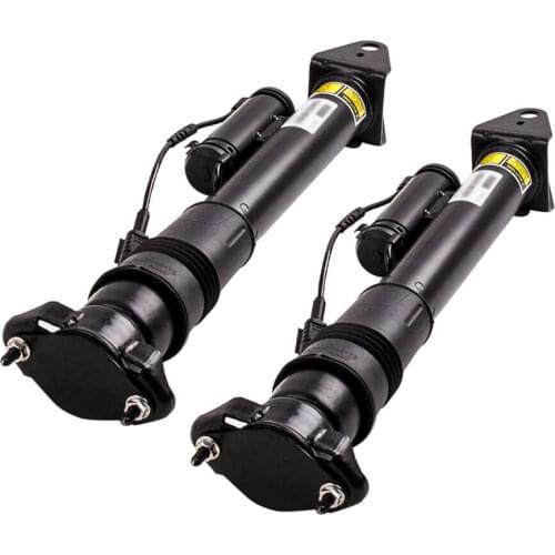 Pair Rear Air Suspension Strut w/o ADS 2513200731 For Mercedes-Benz R-Class W251 V251