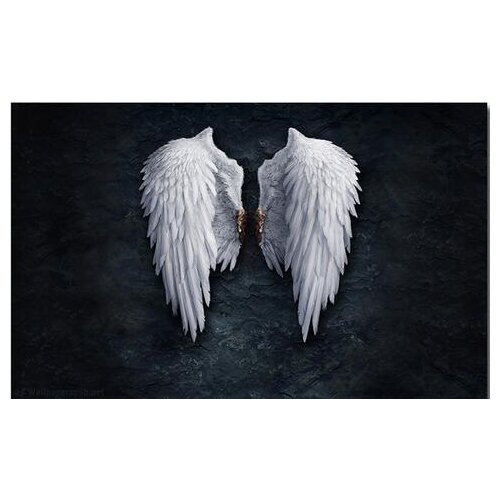 Modern Angel Wings Black and White Art Print Silk Poster Home Wall Decor 24x36inch