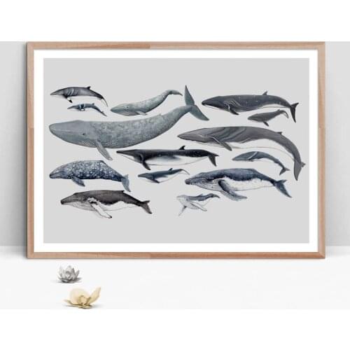 Whale Dolphin Marine Life Animals Wall Art Canvas Painting Prints Nordic Posters Wall Pictures for Living Room Home Decor