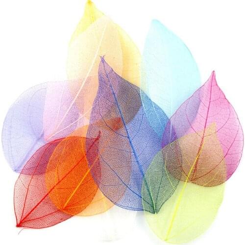 100 Pcs Natural Dried Vein Leaves Flower Nail Art Flowers Material DIY Craft Supplies Bookmarks Handmade Decoration Accessories