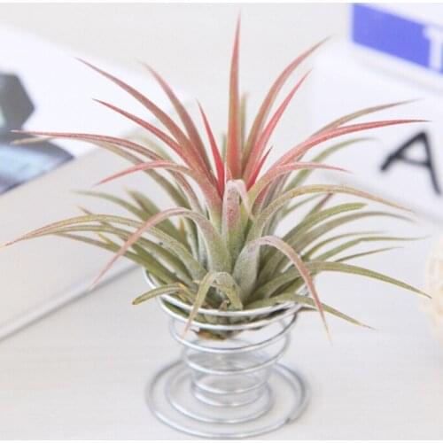 Metal Spring Air Plant Holder Hanging Rack Stand Containers Flower Holder Balcony Decor Silver Air Spring Base Plant Pot Stand