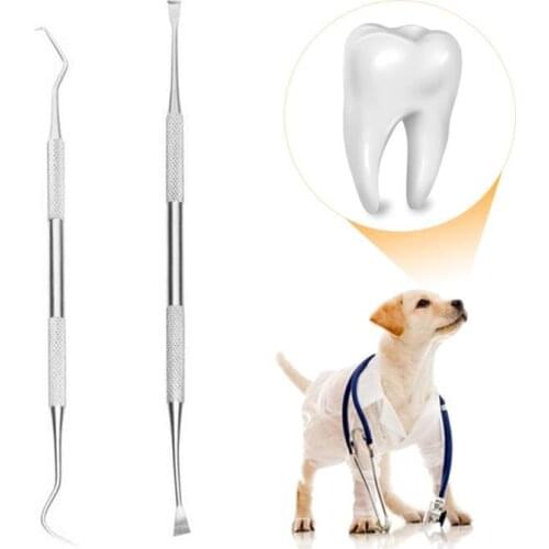 Pet Dog Tooth Oral Hygiene Health Care Clean Tool Double-Head Stainless Steel Tooth Scaler And Scraper Tartar Calculus Remover