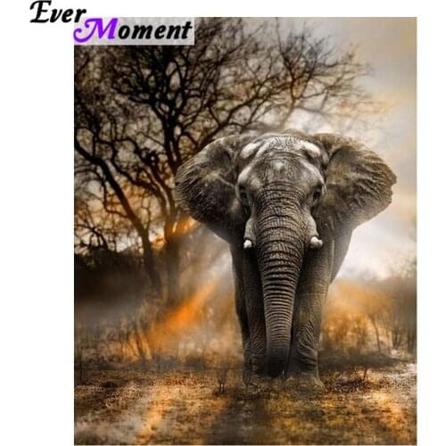 5d diamond painting full drill African Elephant crystal cross diamonds diamond painting 2017 diamond embroidery mosaic ASF728